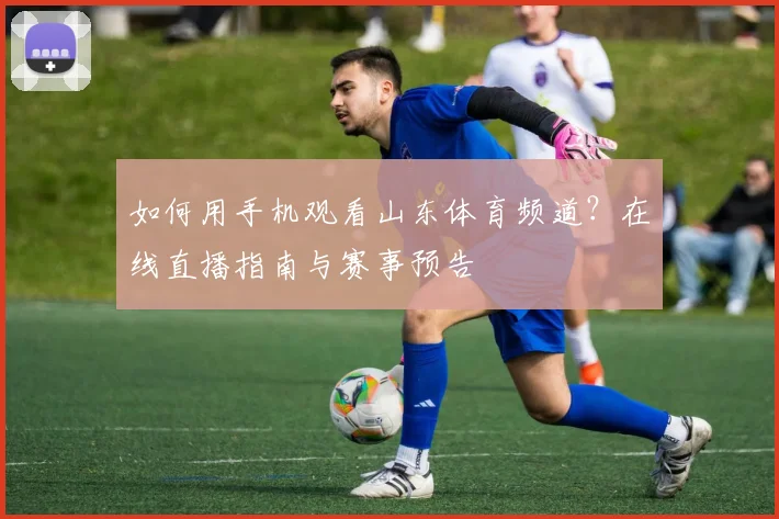 如何用手机观看山东体育频道?在线直播指南与赛事预告