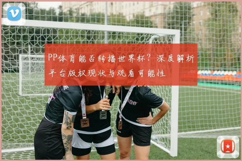 PP体育能否转播世界杯?深度解析平台版权现状与观看可能性