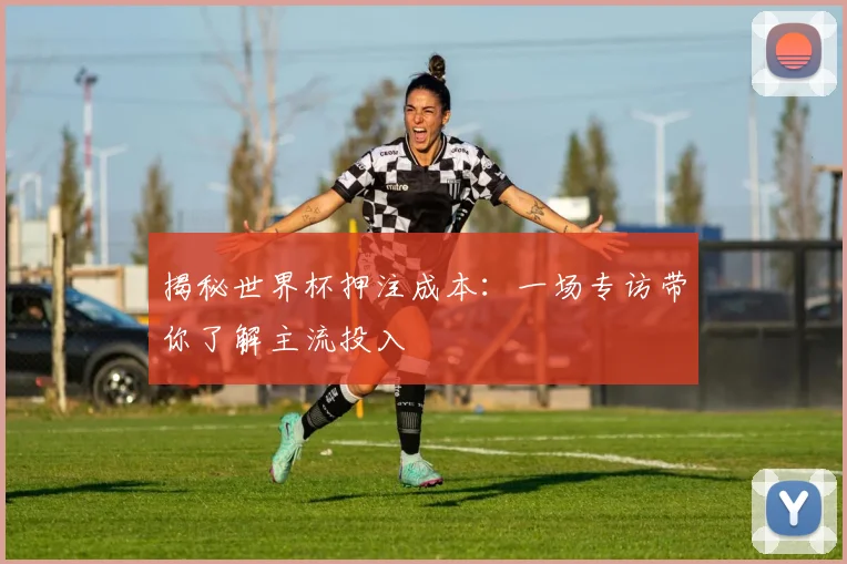 揭秘世界杯押注成本:一场专访带你了解主流投入
