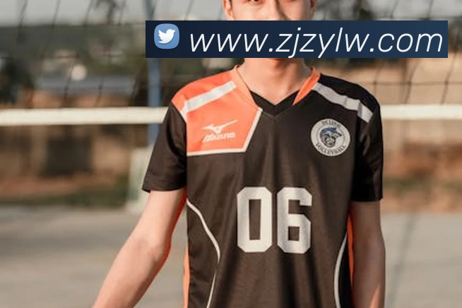 fh体育官方网站平台生态图